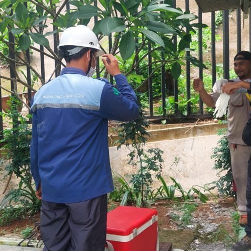 WhatsApp Image 2026-02-11 at 20.21.50