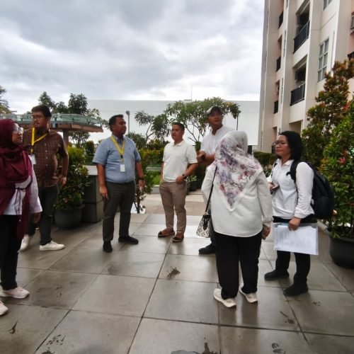 WhatsApp Image 2026-02-11 at 20.28.52 (1)